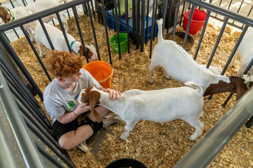 Central-Kansas-Free-Fair-Abilene,KS